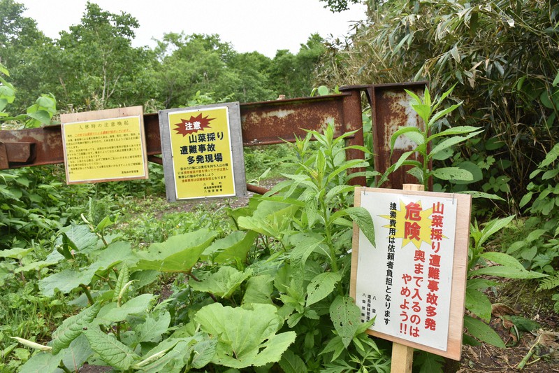 山菜採りで遭難相次ぐ 北海道 2カ月で59件 死亡 不明10人 入山届なく捜索も困難 毎日新聞