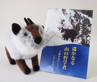 御在所ロープウエイが販売するカモシカのぬいぐるみと生態テキスト=同社提供