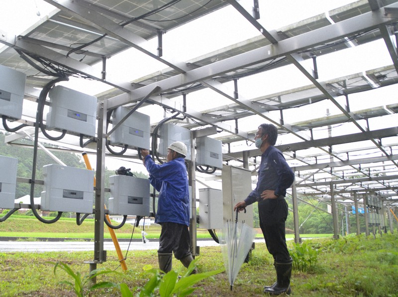 太陽光発電施設から電源の取り出し作業をする関係者=千葉県勝浦市で