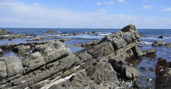 化石　ヒトデ　南淡町灘海岸 化石 ヒトデ 南淡町灘海岸 化石 ヒトデ 南淡町灘海岸