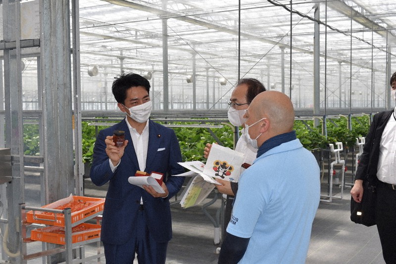 巨大なハウスで栽培されたイチゴでつくったジャムを手にする小泉進次郎環境相(左)=福島県大熊町大川原のネクサスファームおおくまで2020年7月19日午後1時45分、柿沼秀行撮影