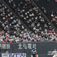間隔を空けて座り、試合を観戦するプロ野球ファンら＝札幌市豊平区の札幌ドームで2020年7月14日、貝塚太一撮影