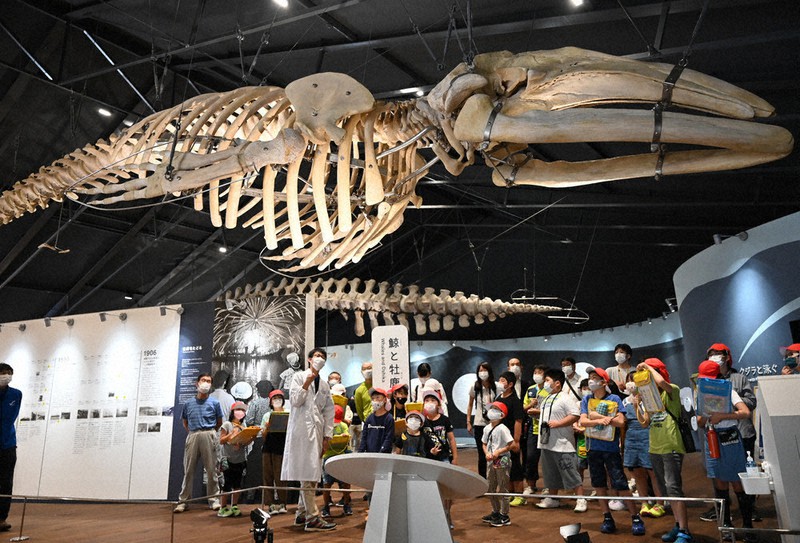 内覧会でコククジラの骨格展示を見る地元の小学生ら=宮城県石巻市鮎川浜の「おしかホエールランド」で2020年7月20日午前10時7分、百武信幸撮影
