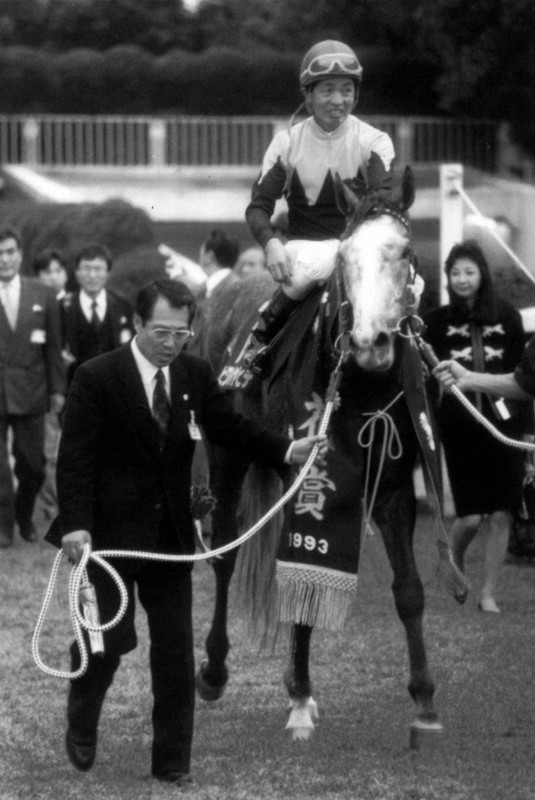 ビワハヤヒデ死ぬ 「最期は静かに」老衰で 93年菊花賞などGⅠ3勝