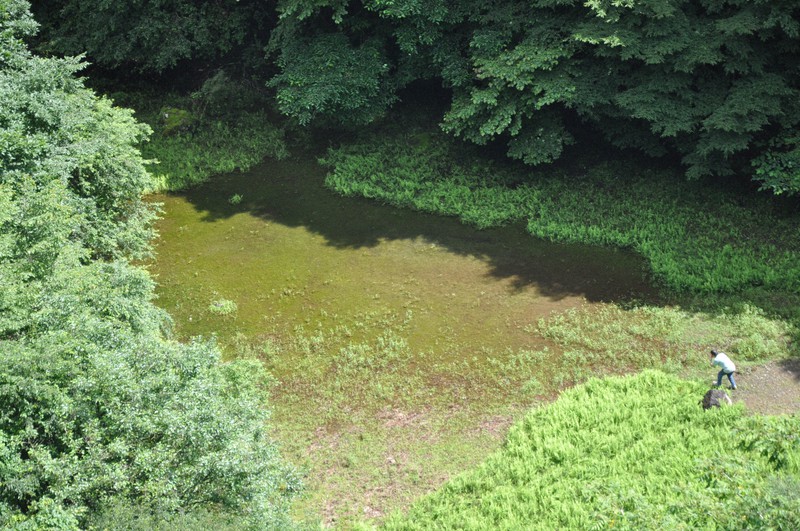 幻の赤池 9年ぶり出現 長雨の影響か 富士 第6の湖 1週間後には消滅 毎日新聞
