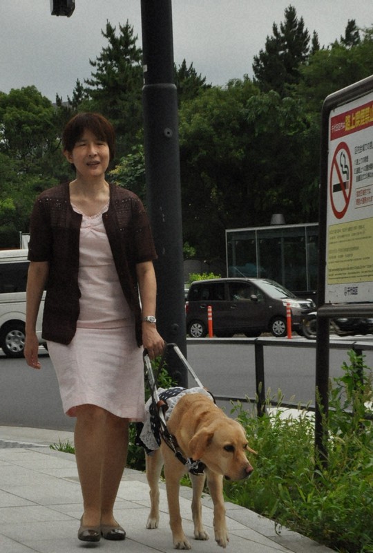 盲導犬を連れて歩く林美穂さん=東京都千代田区で2020年7月3日、五十嵐朋子撮影