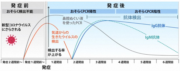 各種の検査で、新型コロナウイルスが検出されやすい時期を示すグラフ。論文(Sethuraman et al. JAMA. 2020;323(22):2249-2251)から、説明を日本語に変えるなどして、谷口恭医師が作成。