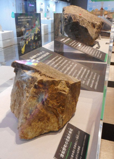 最古の石博物館、名称は守られた 17年に発見の島根から寄贈、展示へ