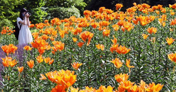 Porno video transning ichkariga singishi