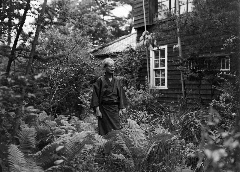 特集ワイド 還暦記者 鈴木琢磨の ああコロナブルー 牧野富太郎に会いたくて 人間は草木にオジギをせねば 毎日新聞