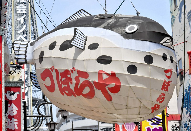 「づぼらや」のふぐちょうちん、どこへ？ 大阪のにぎわい象徴、実は「違法」 [写真特集1/12] 毎日新聞