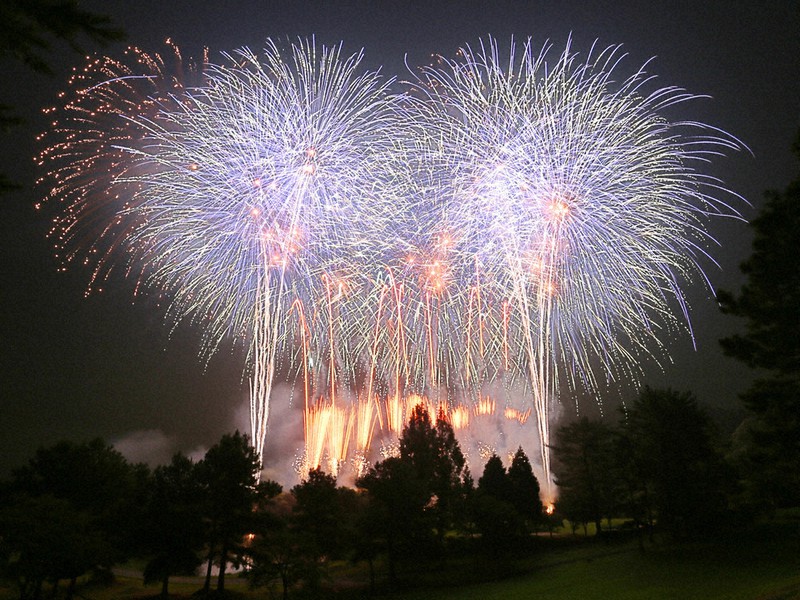 感染拡大で無観客で行われた花火大会=兵庫県加西市で2020年8月7日午後8時17分、大西達也撮影