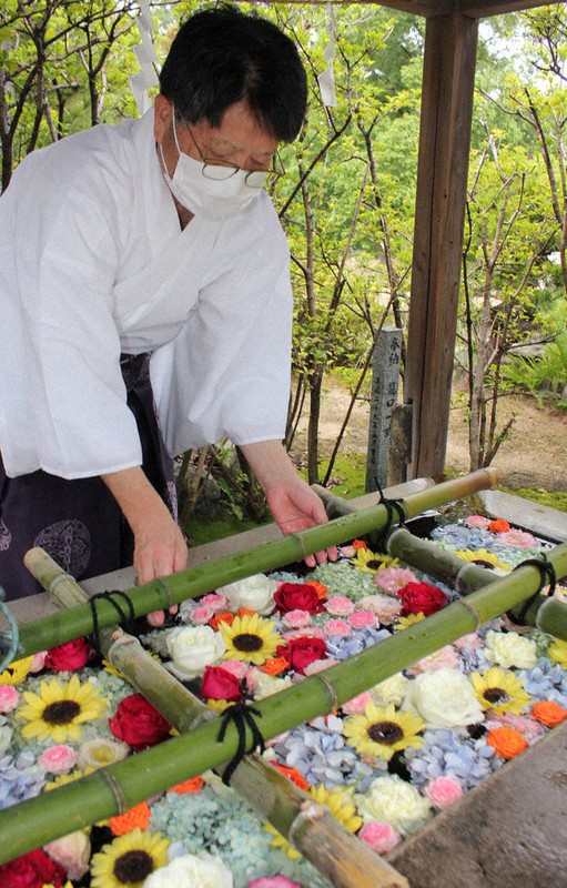 参拝者和む 花手水 あすからは種類を変え 下関 彦島八幡宮 山口 毎日新聞