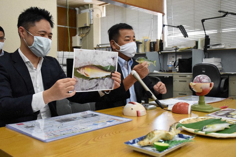 研究結果を報告する岐阜薬科大の原英彰教授(右)と中村信介博士=岐阜市役所で