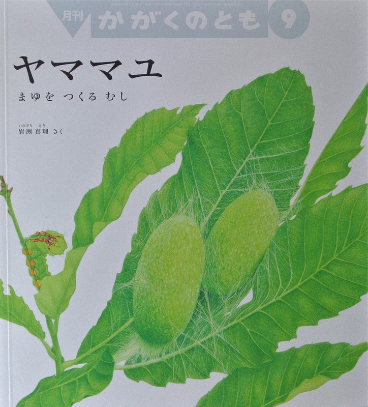 岩渕真理・作、福音館書店、440円