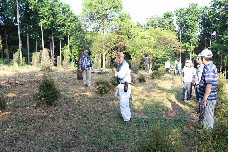 荒れた人工林に光戻る １０年かけ森林公園に整備 ｎｐｏ法人が手入れ 沼津 静岡 毎日新聞