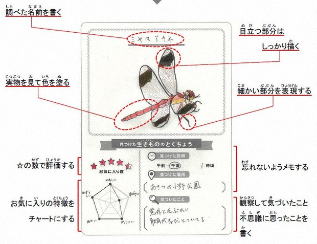 夏休みの学習を応援 小中校生向けにｈｐ 森と水の源流館 川上 奈良 毎日新聞