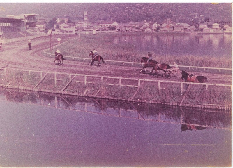 あなたの家に眠る「歴史的」古写真提供を 高知・龍馬の生まれた