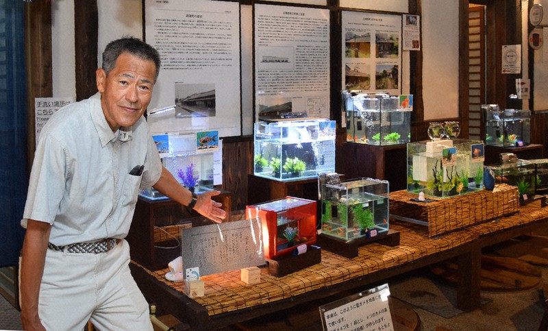 新たに設けた金魚の水槽を紹介する仲さん=大和郡山市の紺屋で、熊谷仁志撮影