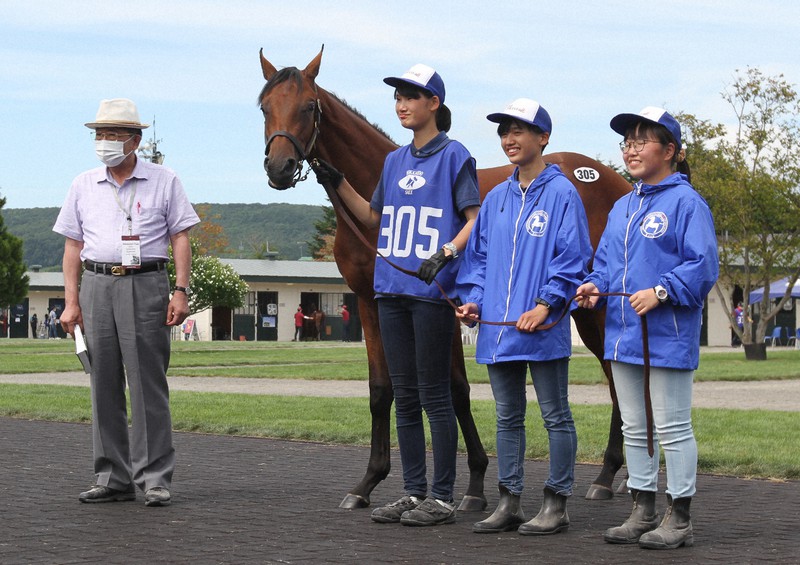 高校生育てた競走馬 2500万円で落札 父はg で2勝の名馬 北海道 静内農業高 毎日新聞