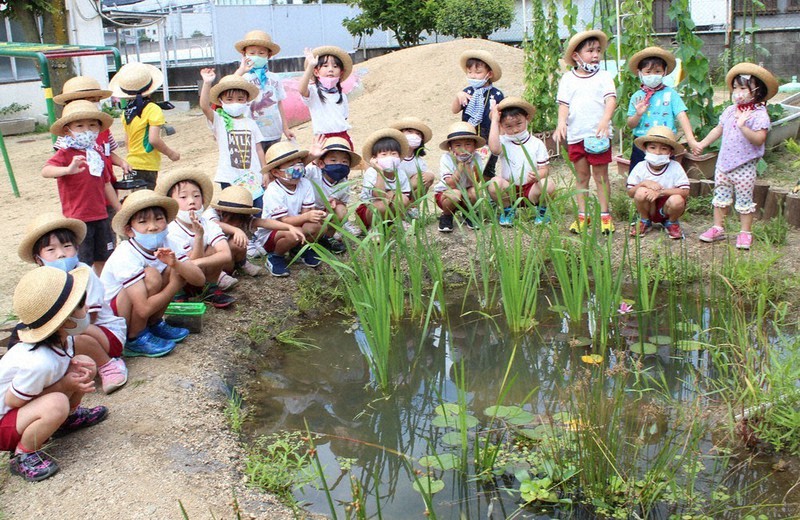 ハート池で観察する園児たち=大阪府富田林市立喜志幼稚園で、山本夏美代撮影