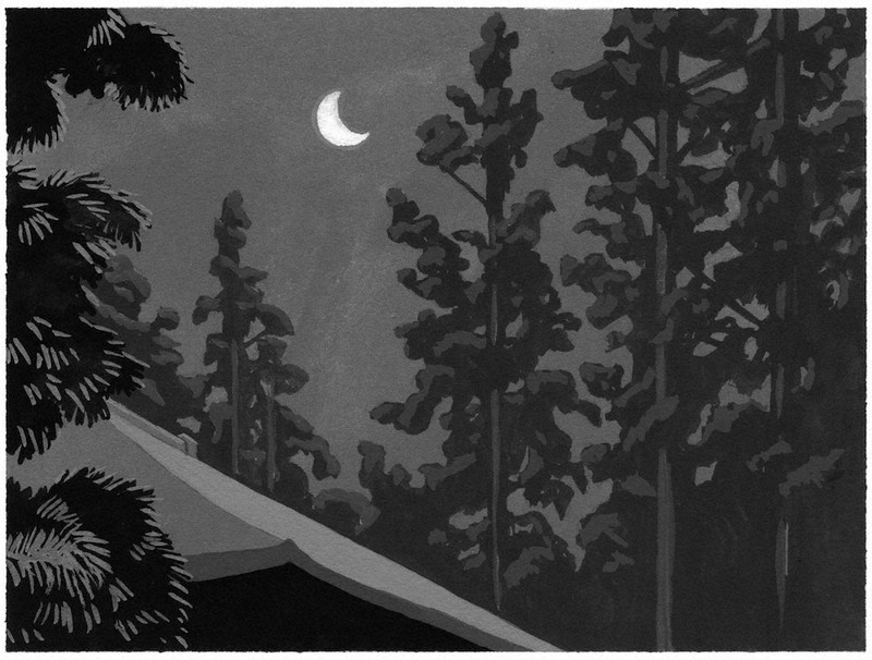 恋ふらむ鳥は ８８ 澤田瞳子 画 村田涼平 毎日新聞