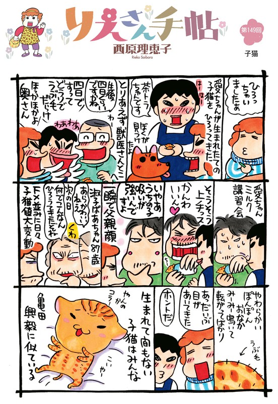 りえさん手帖 子猫 毎日新聞