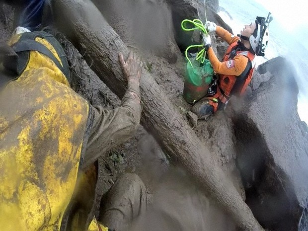 ヘリでネコも引き上げて 救うのは人だけじゃない 海保の潜水士 活躍は海以外も 毎日新聞