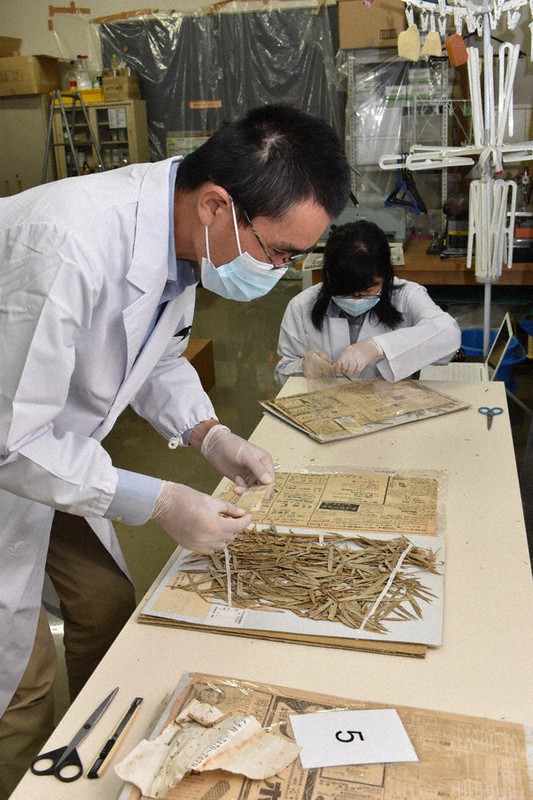 九州豪雨災害で水没した熊本県人吉城歴史館所蔵の植物標本を洗浄する学芸員=北海道の美幌博物館で2020年9月2日、本多竹志撮影