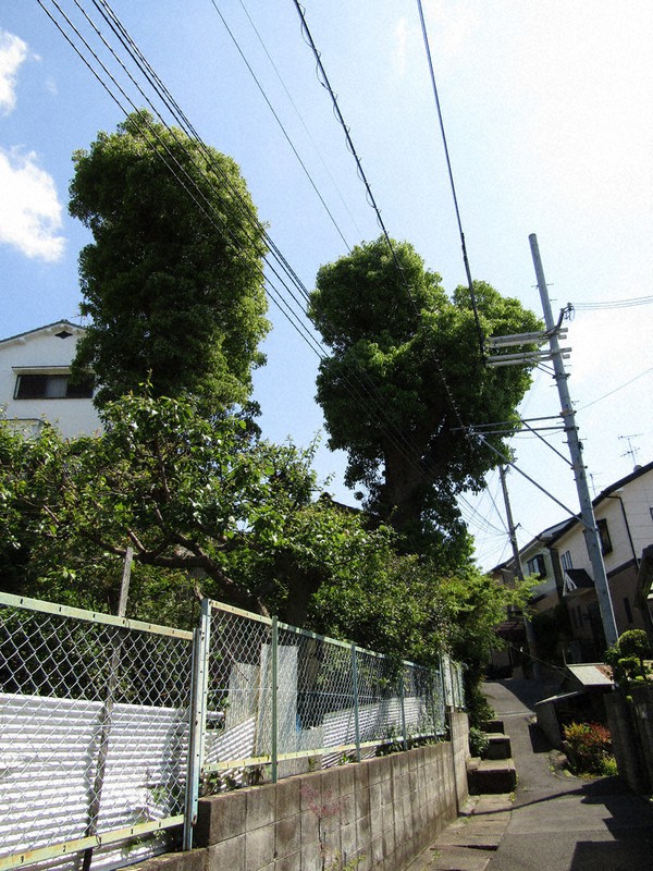 上田秋成が滞留した正法寺跡=東大阪市日下町1で2020年5月8日午後1時52分、松井宏員撮影