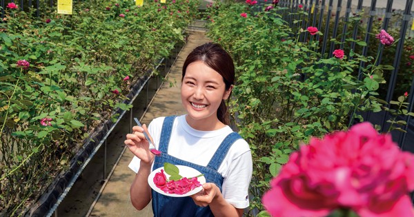 挑戦者 美容成分が豊富に含まれる 食べられるバラ の栽培で資本金８０００万の企業へ 大学を中退してまで バラ農家 を始めた理由 週刊エコノミスト Online