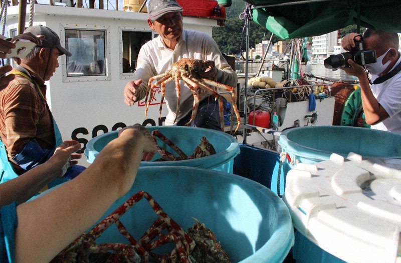 深海魚 今季初水揚げ 駿河湾のトロール漁解禁 静岡 毎日新聞