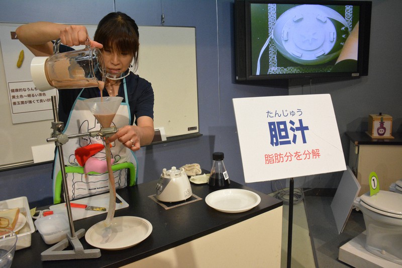 食べ物が消化されていく様子を再現する進悦子専門学芸員。胆汁や胃液の役割も説明する=愛媛県新居浜市の県総合科学博物館で2020年9月10日、松倉展人撮影