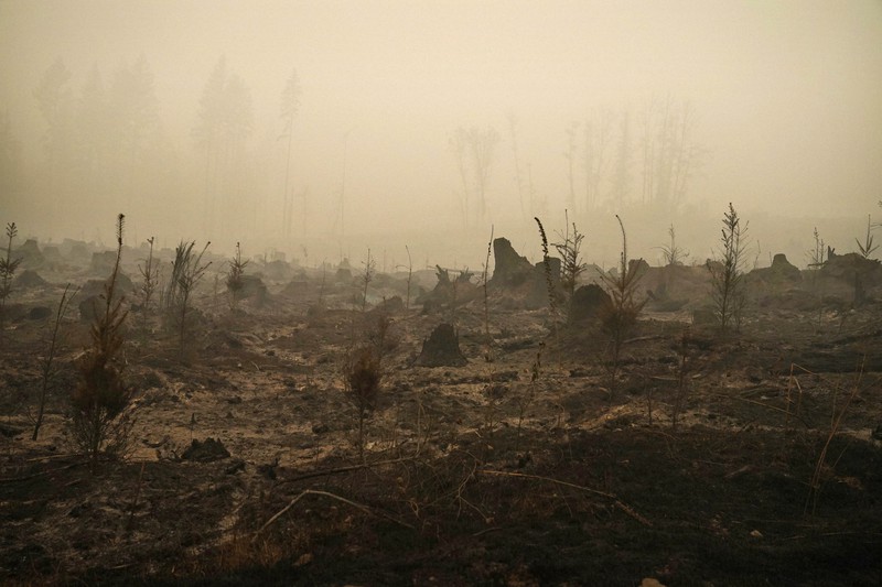 山火事で燃えた森林=米オレゴン州で2020年9月13日、AP