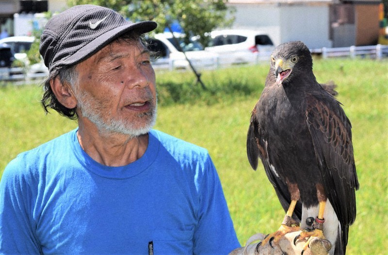 山形・天童の鷹匠・松原さん、狩りを実演 瞬時に飛び立ち捕獲 | 毎日新聞