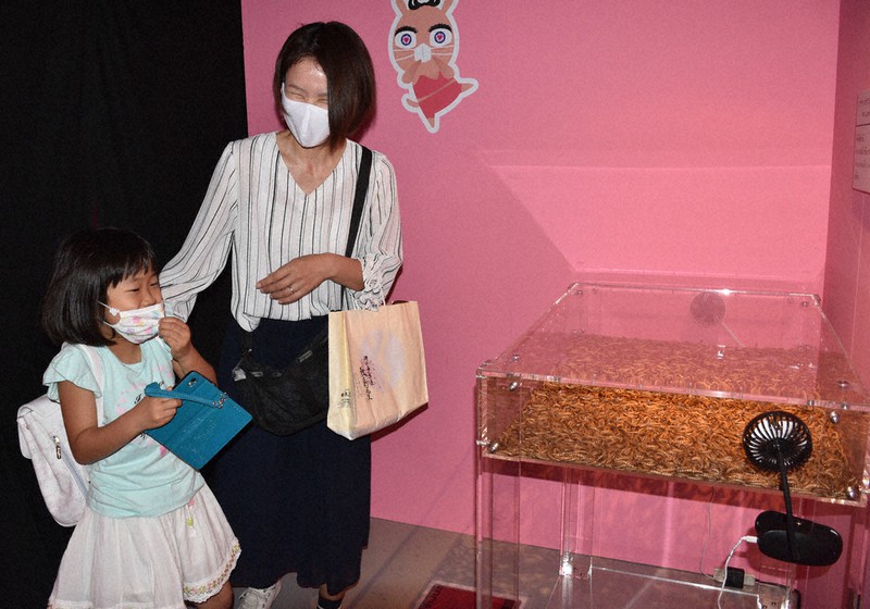 キモい かわいい 生き物３０種集合 岡山で企画展 岡山 毎日新聞