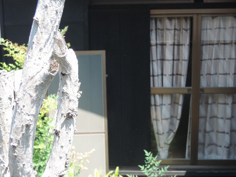 親子が孤立死した状態で見つかった愛知県豊橋市内の住宅=愛知県豊橋市花田二番町で2020年6月23日午前10時14分、村田拓也撮影