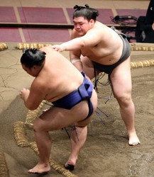 納谷 初の十両の土俵 大翔鵬破り5勝2敗 大銀杏に うれしい スポニチ