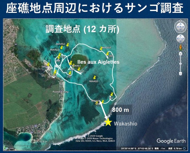 モーリシャスの重油流出事故で、わかしお周辺のサンゴ礁の調査地点(12カ所)=JICA提供