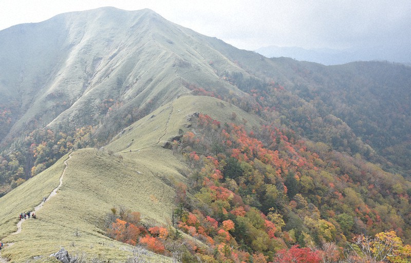 赤や黄色に染まる山肌 徳島 剣山で紅葉見ごろ 例年より色づき強く 毎日新聞