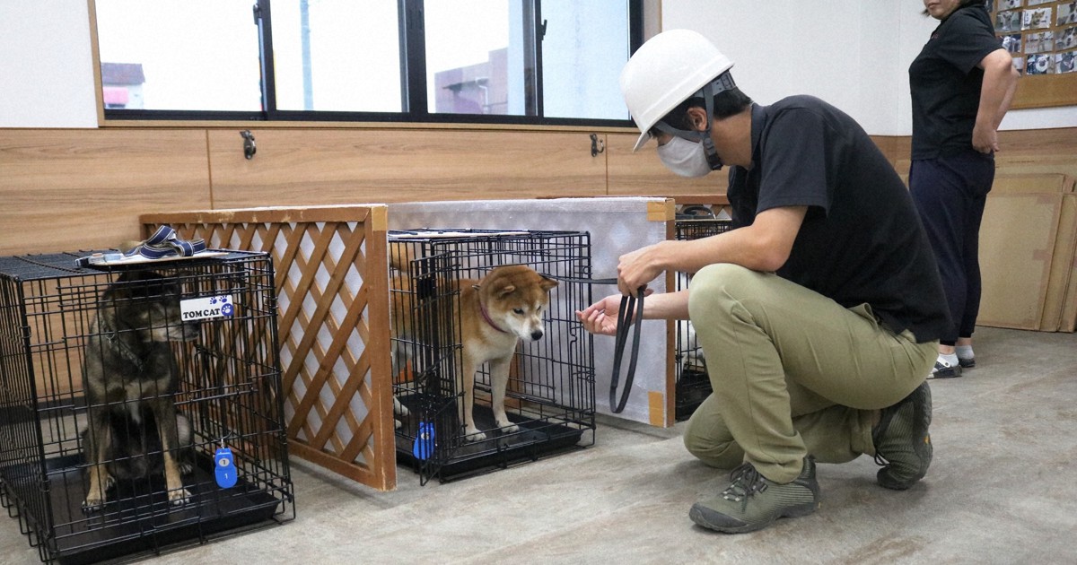 Project launched to set up evacuation shelters for pets in Japan during