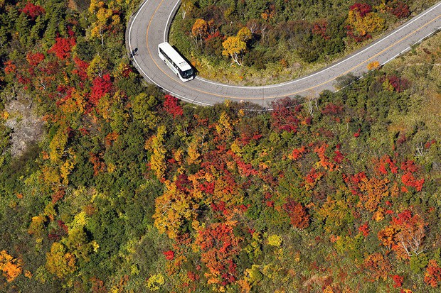 In Photos: Autumn colors splash across central Japan's scenic