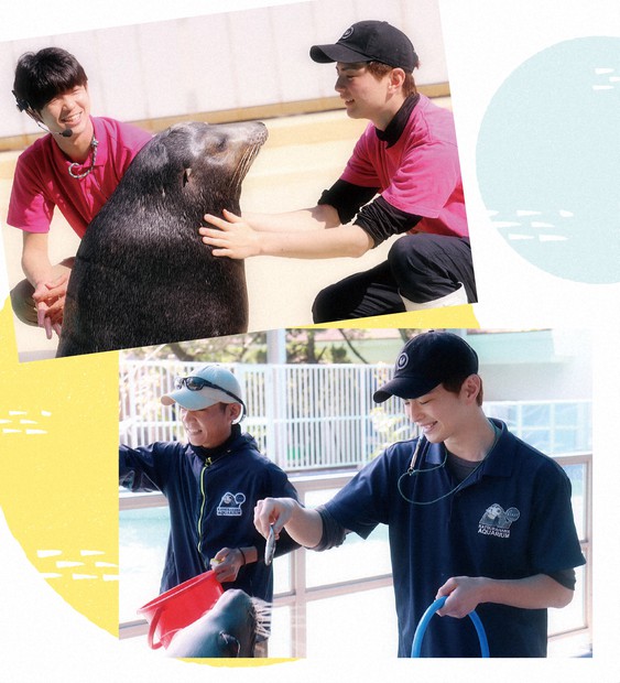 イケメン飼育員×動物」 高知・桂浜水族館が異例の写真集、ターゲットは