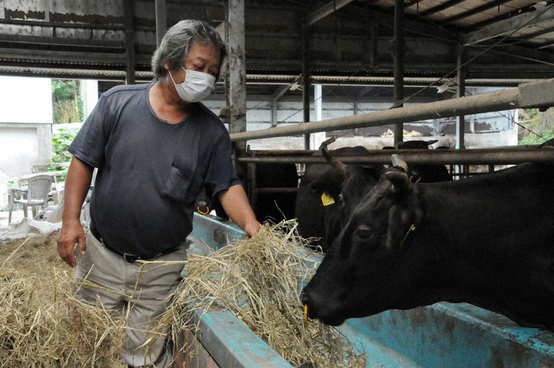 肉牛の繁殖農家を営む平識善通さん=沖縄県宜野座村で2020年9月、遠藤孝康撮影
