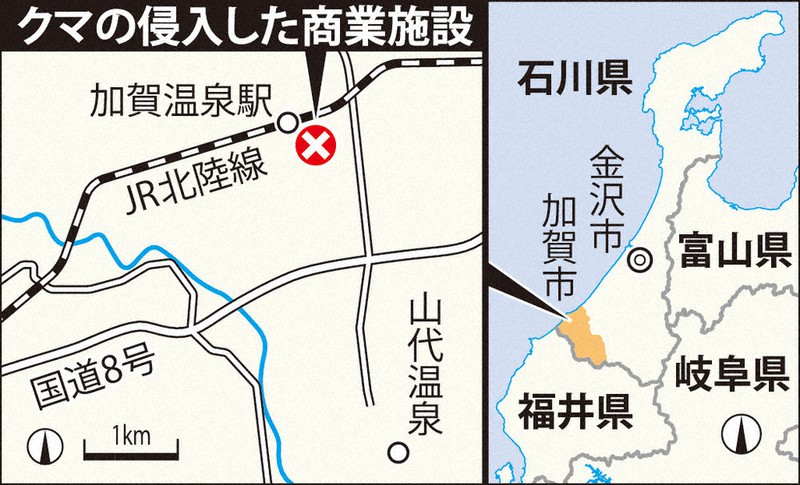 クマの侵入した商業施設