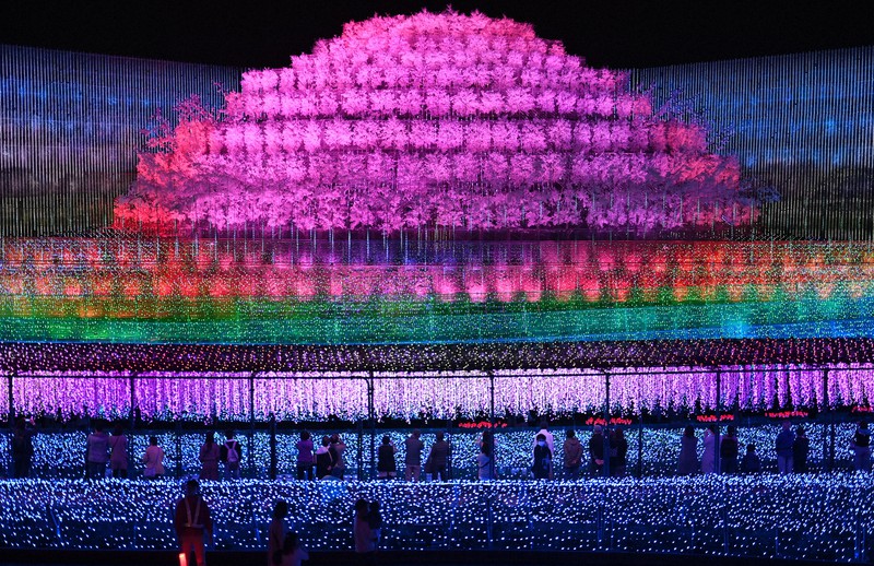 色鮮やかな光の演出で魅了する「なばなの里」のイルミネーション=三重県桑名市長島町で2020年10月23日、兵藤公治撮影