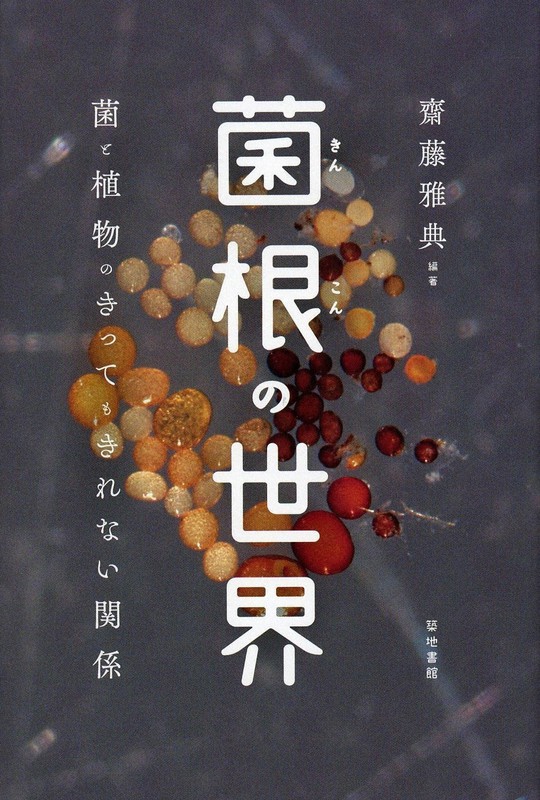 『菌根の世界 菌と植物のきってもきれない関係』
