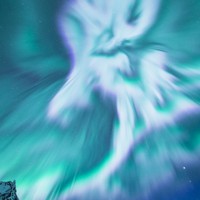 eye：夜空舞う光の大河 米国アラスカ 写真家の松本紀生さん [写真