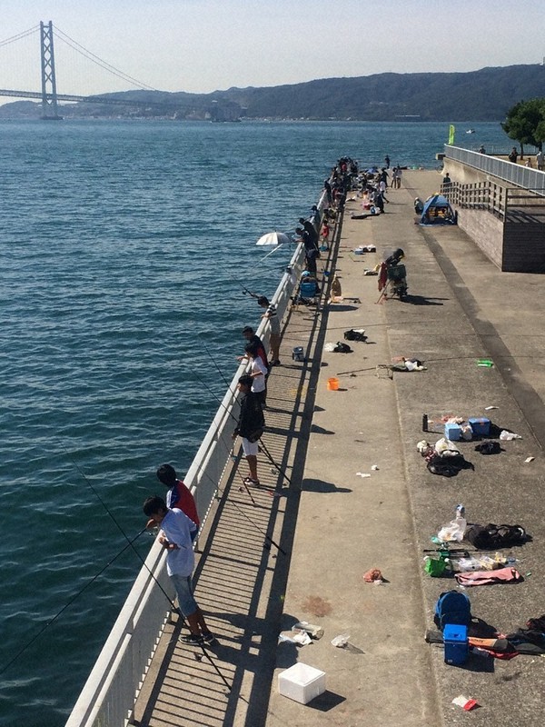 山嵜清張のひょうごを食べる 旬の魚 １８１ 秋の釣り ルールを守って楽しんで 兵庫 毎日新聞