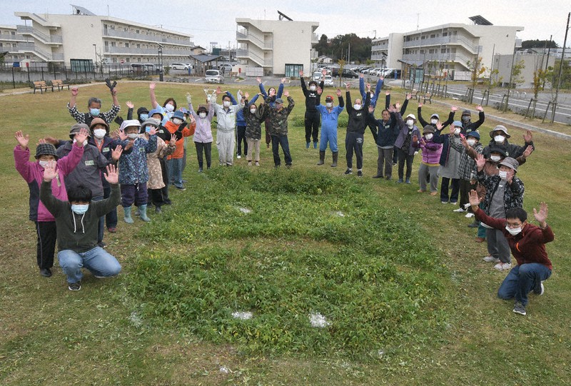 雑草で形作った馬の顔を囲む住民ら=福島県南相馬市原町区の災害公営住宅、北町団地で2020年11月1日、高橋秀郎撮影